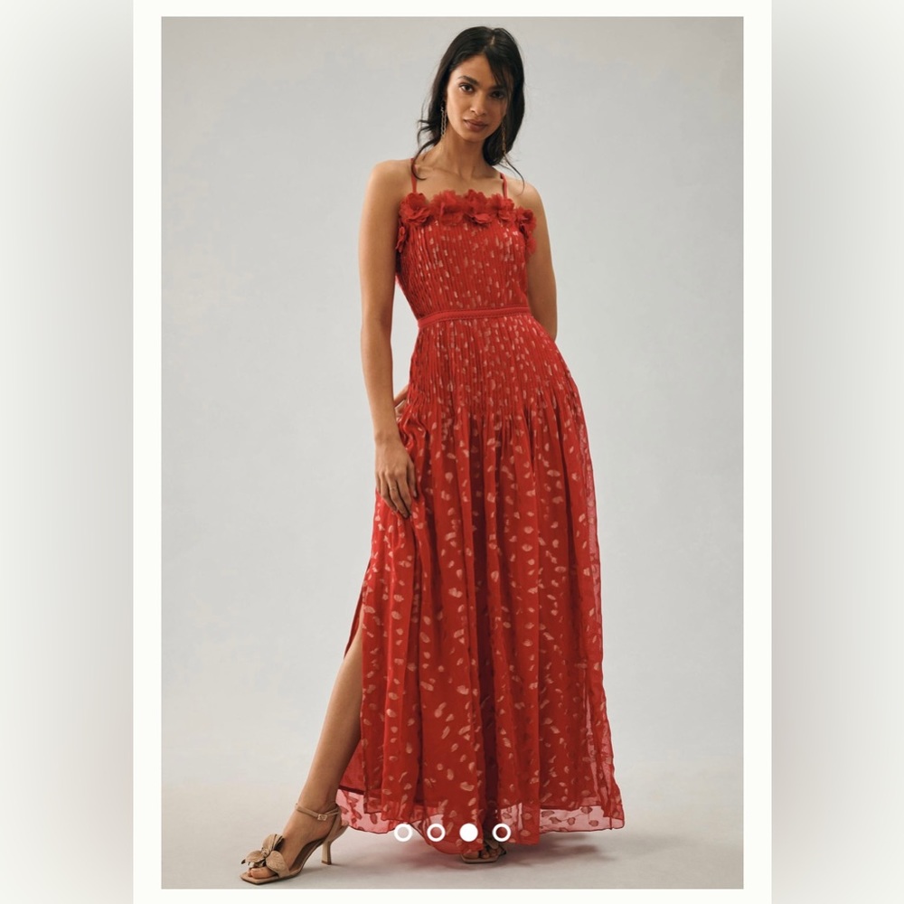 Bhanuni Sheer Appliqué Dress